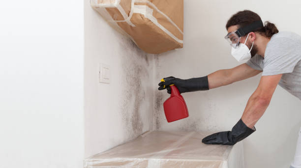 Professional Crawl Space Mold Remediation technician working in Montclair, VA