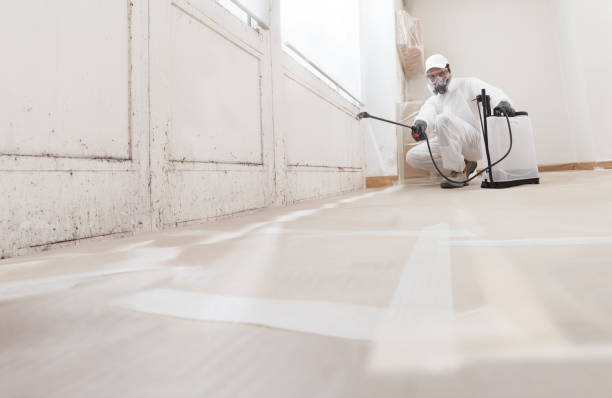 24/7 Emergency Crawl Space Mold Remediation experts in Montclair, VA