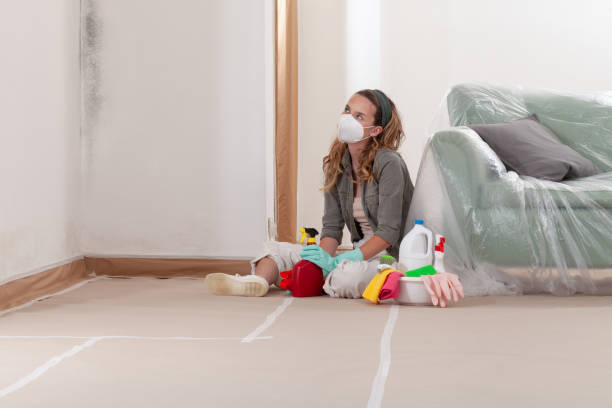 Reliable Crawl Space Mold Remediation contractor in Montclair, VA by 24 Hour Mold Removal