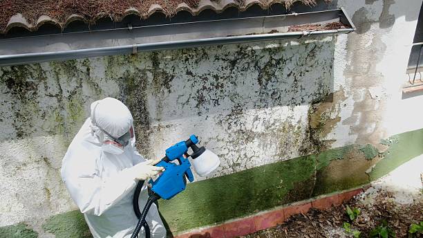 Top rated local Crawl Space Mold Remediation specialists in Montclair, VA
